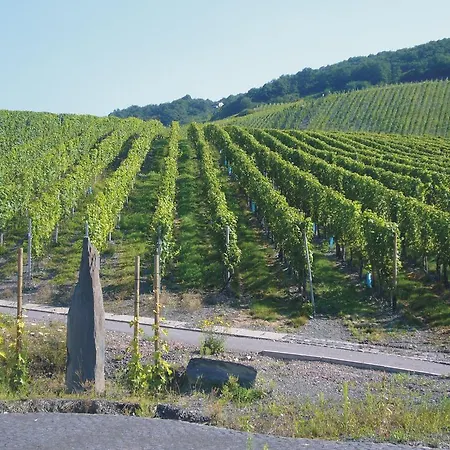 Christiana's Wein & Art 3*