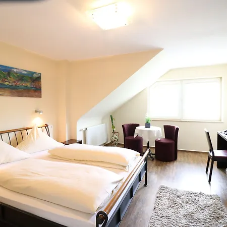 克里斯蒂安娜维恩艺术酒店 酒店