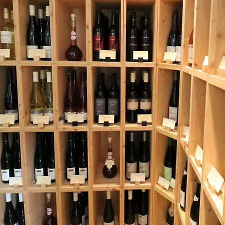 克里斯蒂安娜维恩艺术酒店