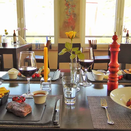 克里斯蒂安娜维恩艺术酒店 3*