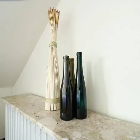 克里斯蒂安娜维恩艺术酒店 酒店 贝恩卡斯特尔-屈斯