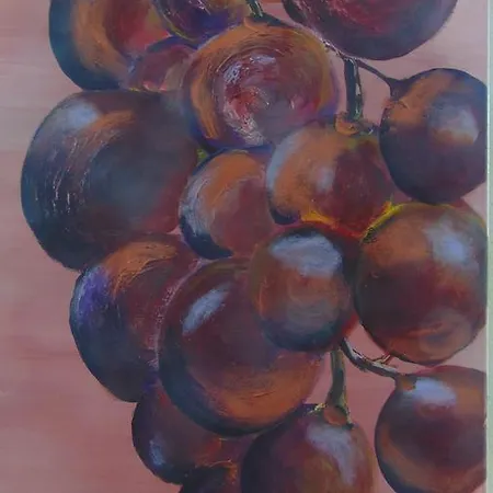 克里斯蒂安娜维恩艺术酒店 酒店 3*